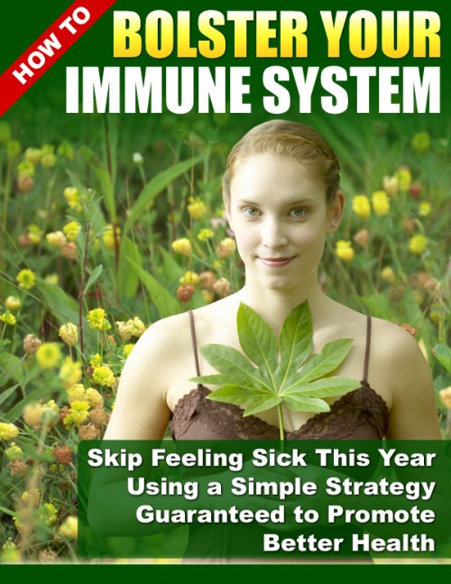 bolster immune system